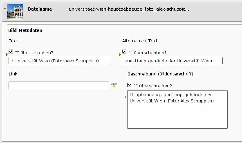 Screenshot TYPO3-Backend